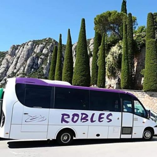 Imagen de uno de nuestro microbuses