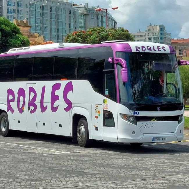 La flota de Autocares Robles