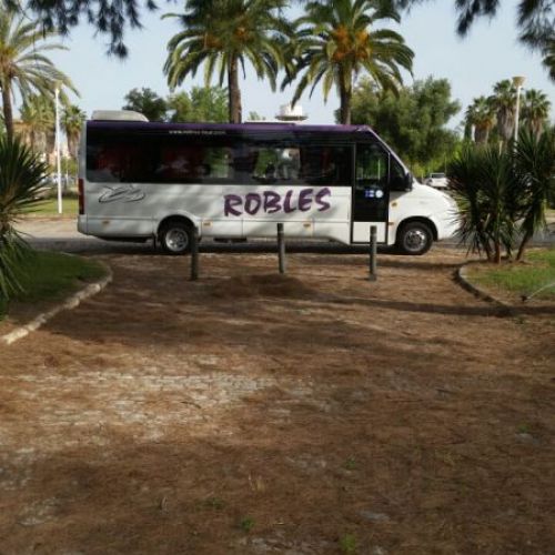 Autobús corto detenido en un paraje con palmeras