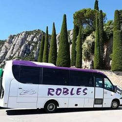 Imagen de uno de nuestro microbuses